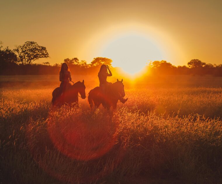 Your Child's Roth IRA. Connecting summer horse camp counseling and retirement saving for your child.