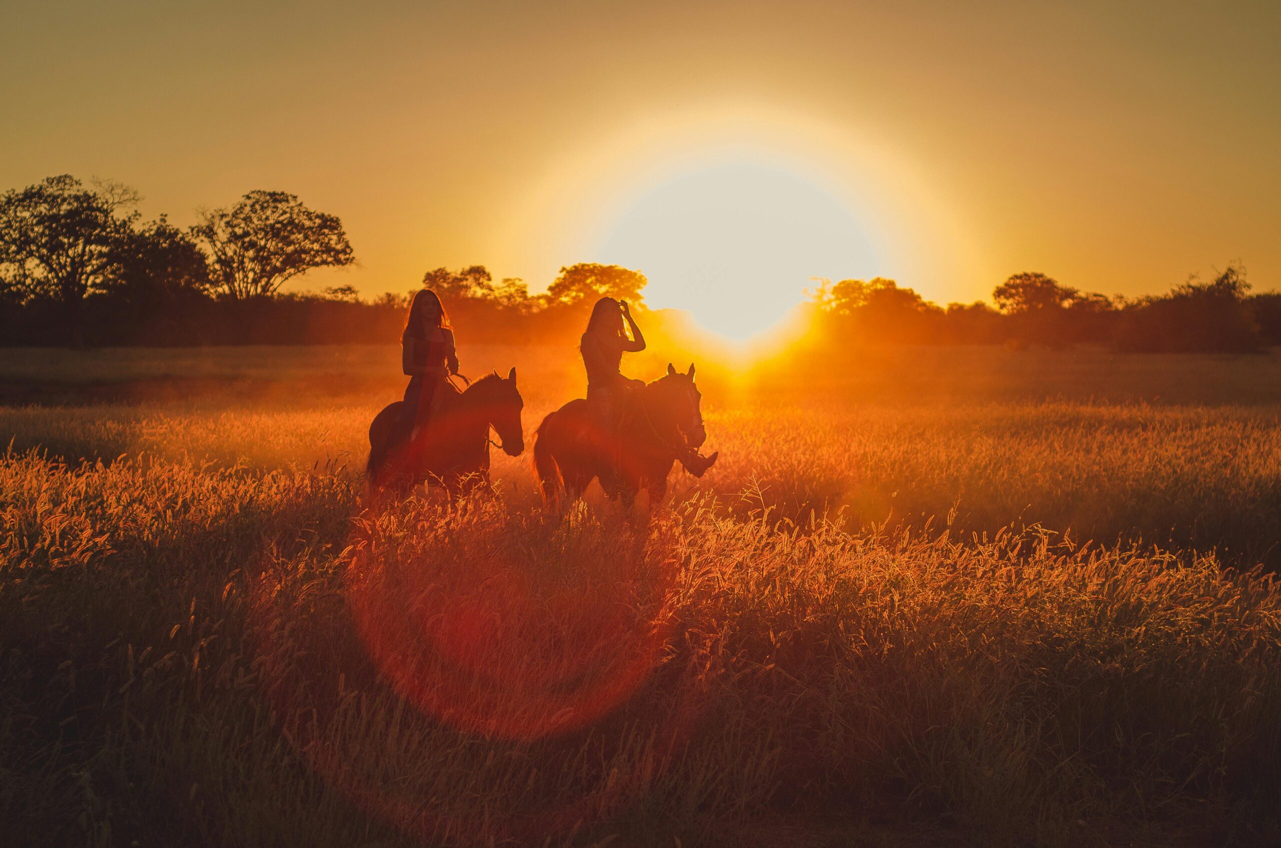 Your Child's Roth IRA. Connecting summer horse camp counseling and retirement saving for your child.