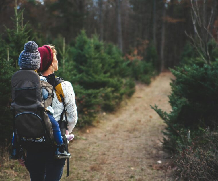 Evaluating Charitable Donation Bunching for your Family