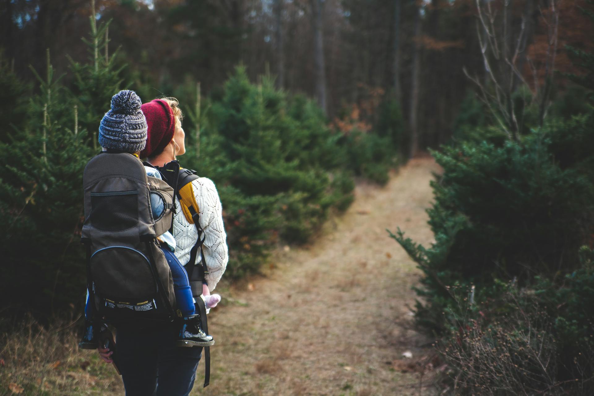 Evaluating Charitable Donation Bunching for your Family