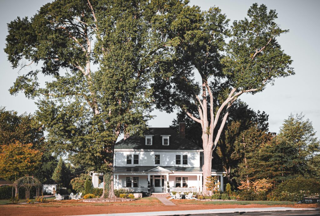House Late Summer