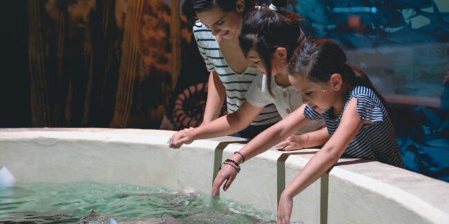 Key Charitable Giving Deduction Essentials for 2026