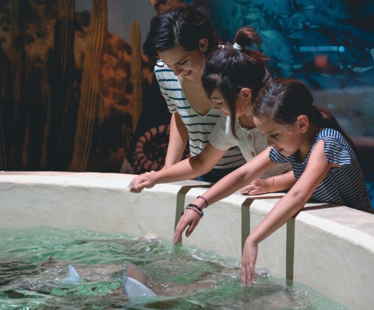 Key Charitable Giving Deduction Essentials for 2026