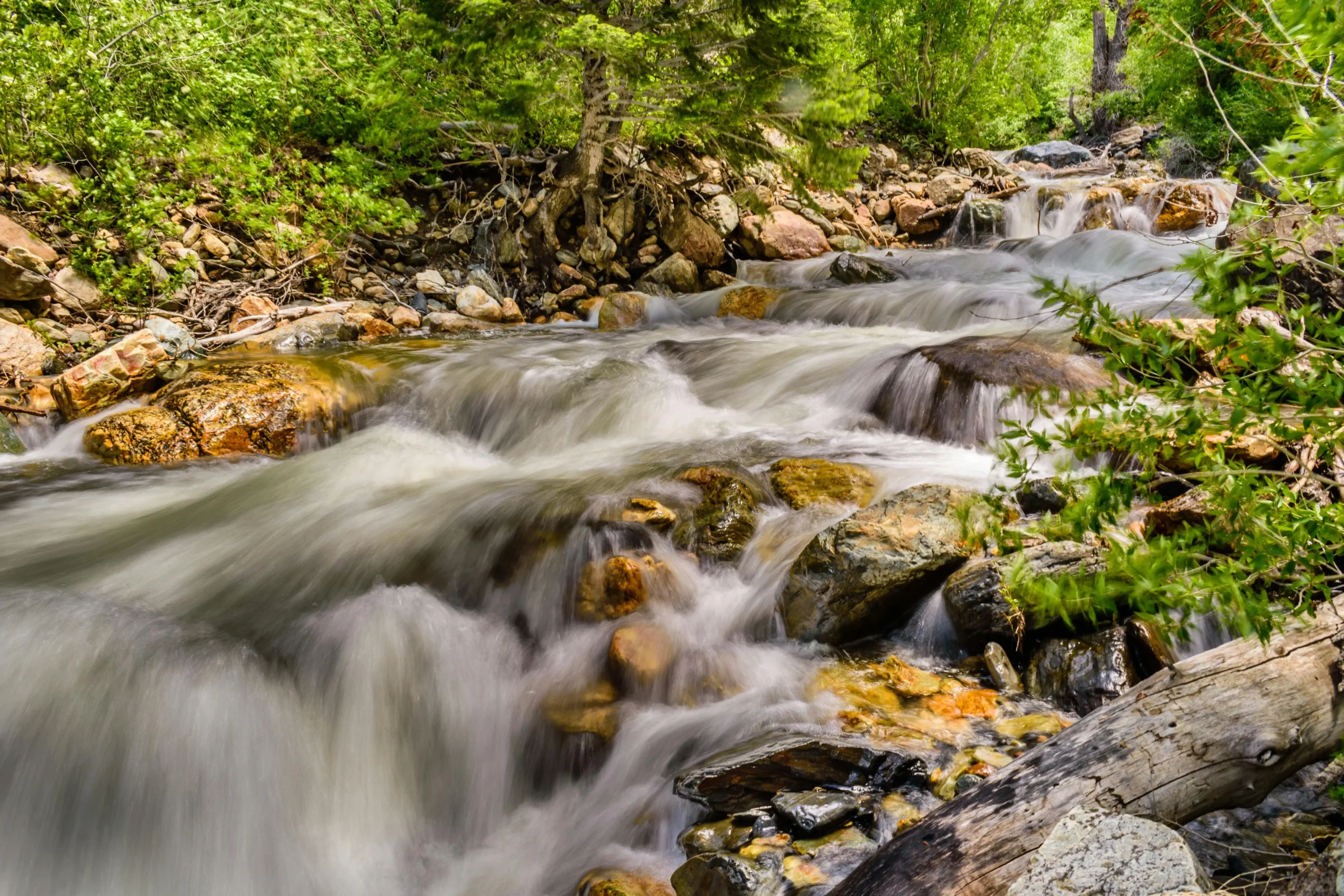 Flowing Water Haven Wealth Planning, a financial planner in St. Louis, takes a collaborative approach with your professional partners to align your tax, estate and investment management with your goals and priorities.